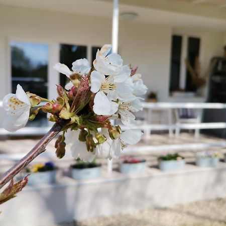 Fuszerkert Vendeghaz Villa Zamardi Bagian luar foto